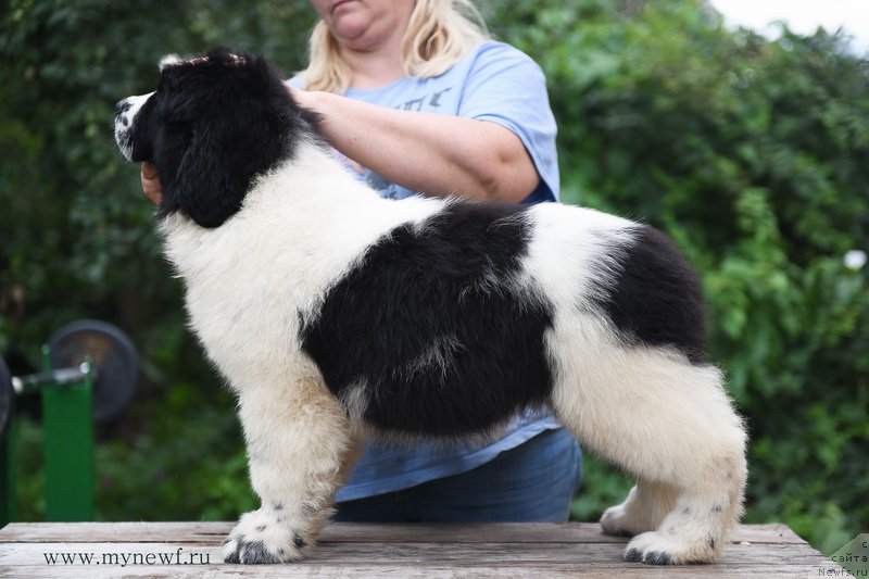 Фотография № 189837