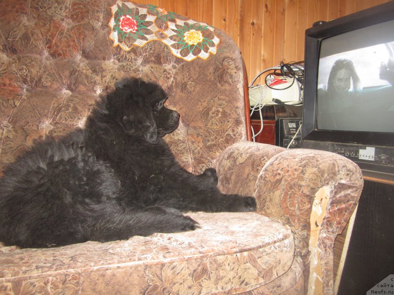 Фото: Наталья Смазчикова