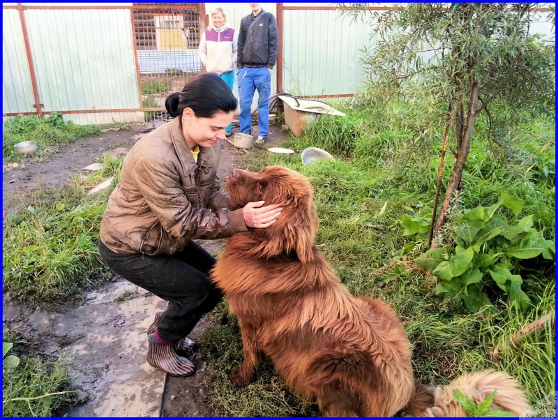 Фотография № 189846