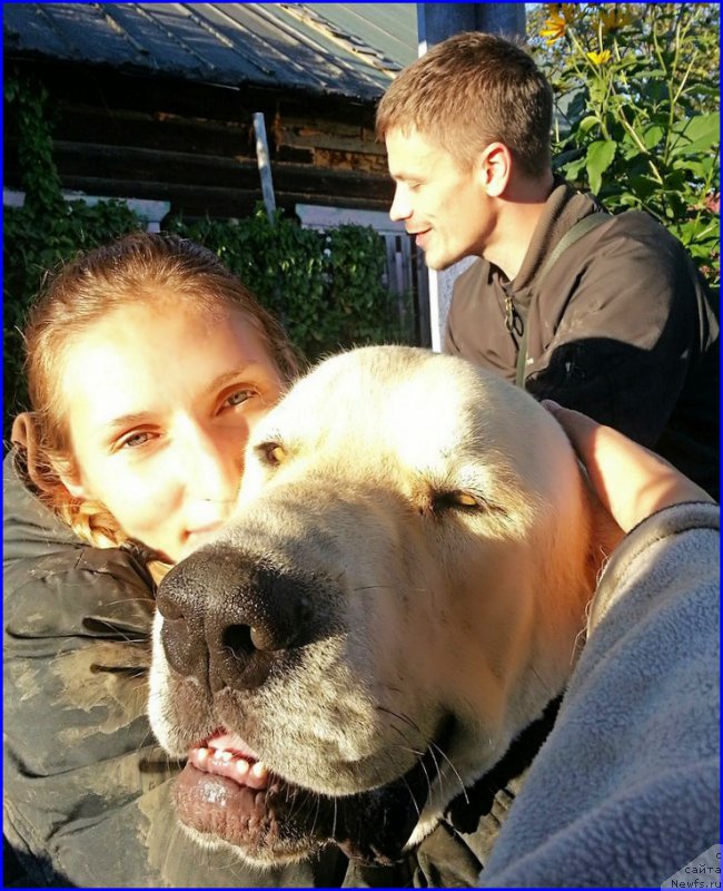 Фотография № 189862