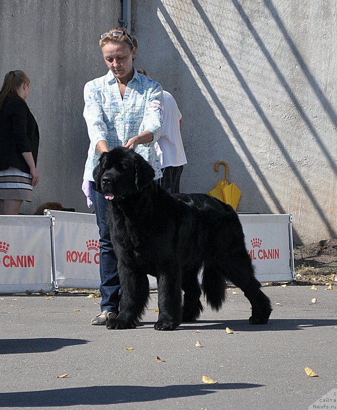 Фотография № 189866