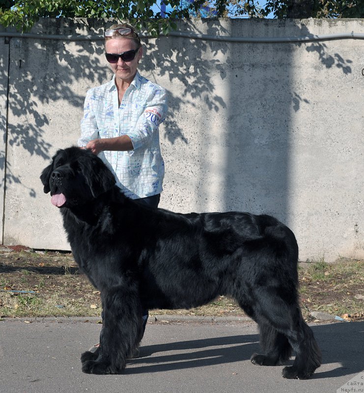 Фотография № 189869