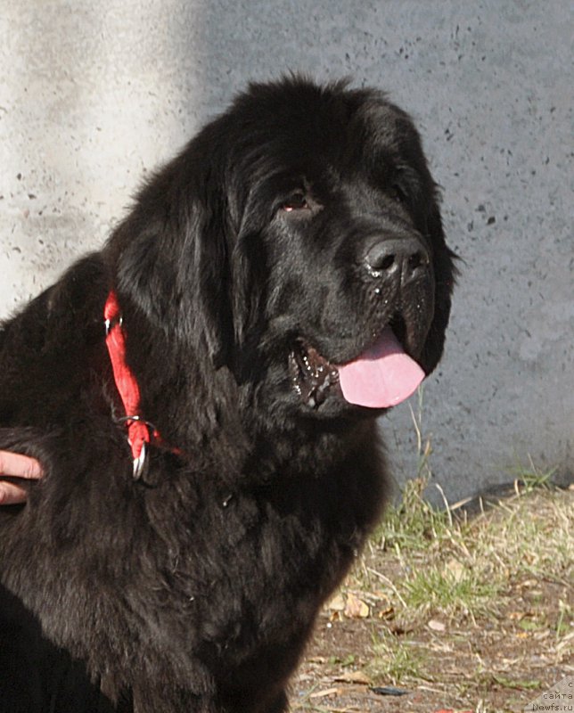 Фотография № 189872