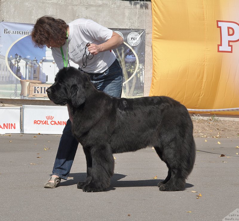 Фотография № 189873