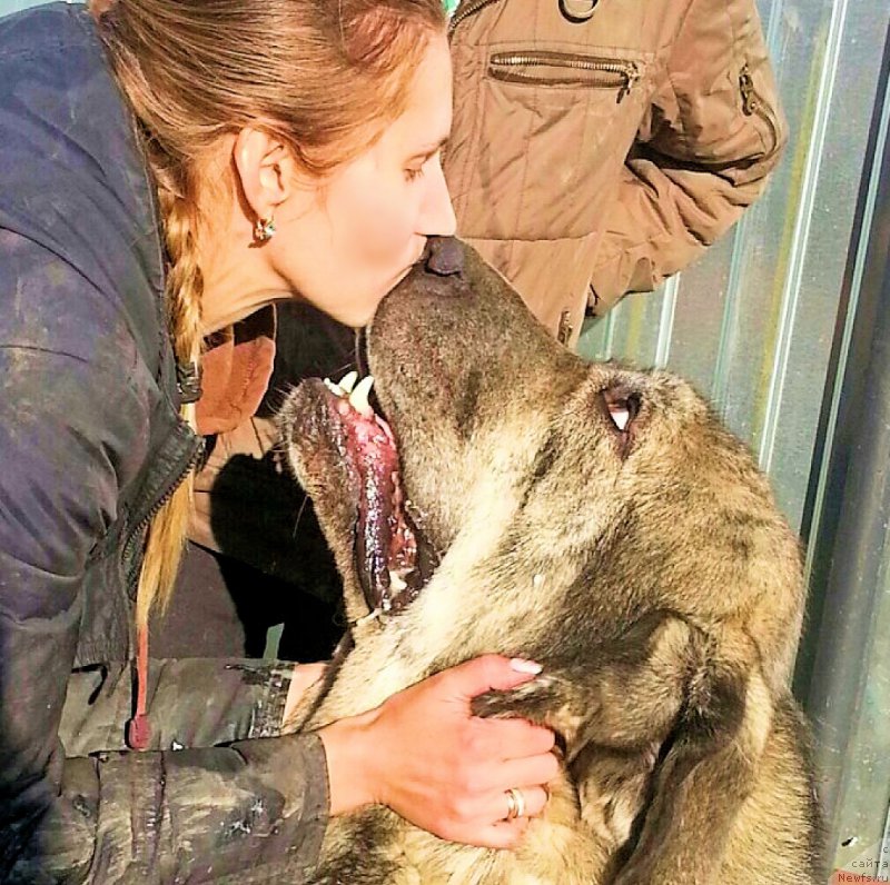 Фото: Лена Зырина, ДЕН, ОЛЯ