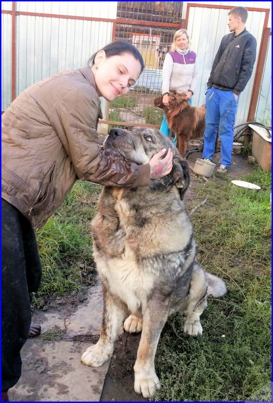 Фотография № 189878