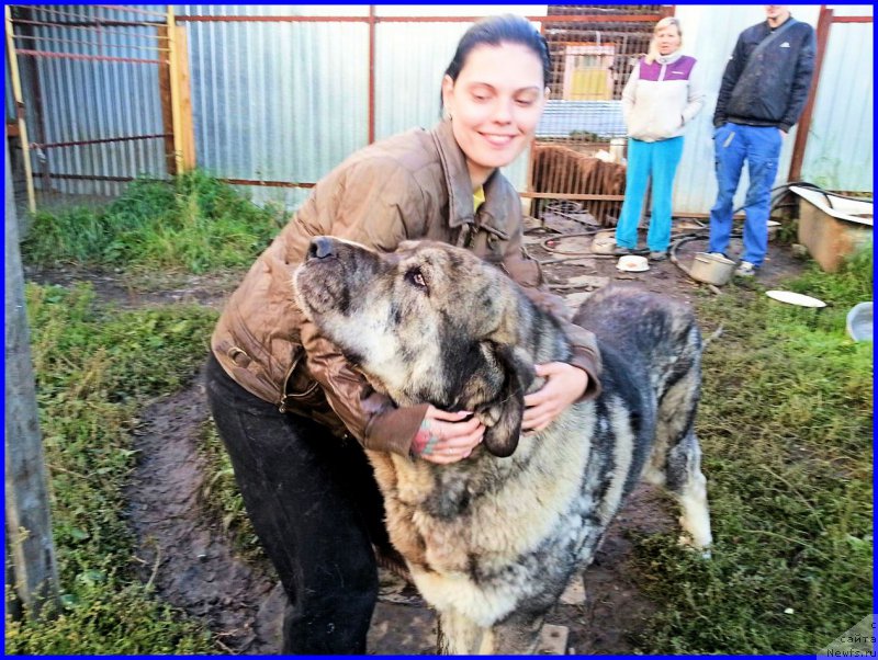 Фото: Лена Зырина, ДЕН, ИРА