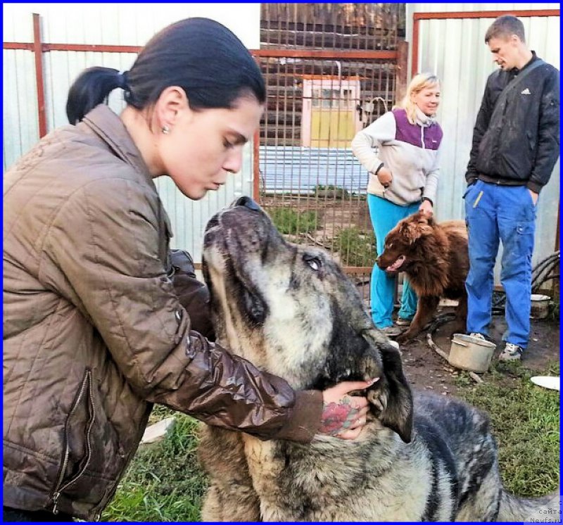 Фото: Лена Зырина, ДЕН, ИРА
