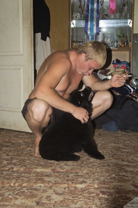 Фотография № 189885