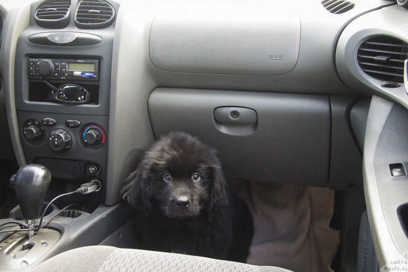 Фотография № 189887