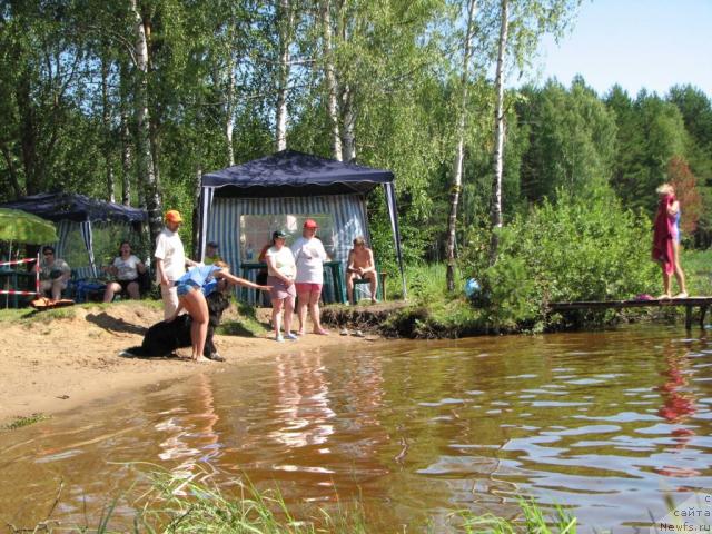 Фото: ньюфаундленд Робертино Раскошный Мальчишка Отарго Аютка (Robertino Roskoshny Malchishka Otargo Ayutka), Катеринка Классен