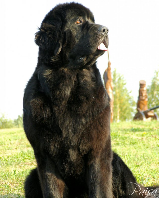 Фотография № 189909