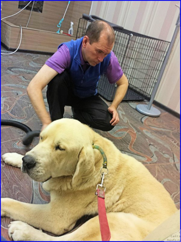 Фото: Лена Зырина, ФРАНКО