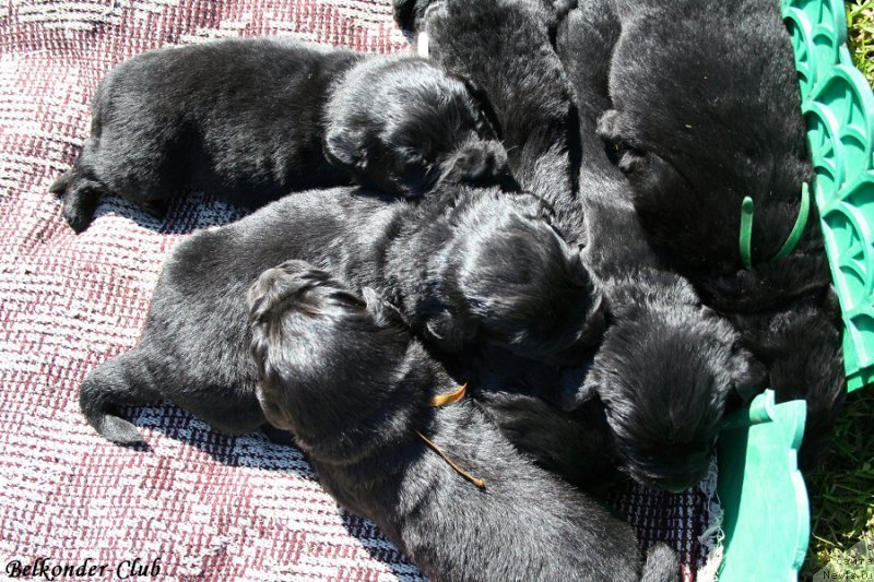 Фотография № 189917