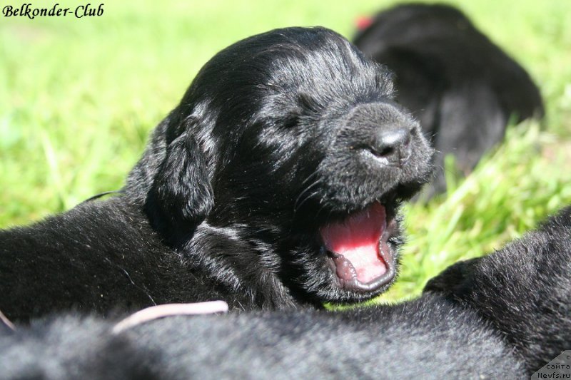 Фотография № 189919