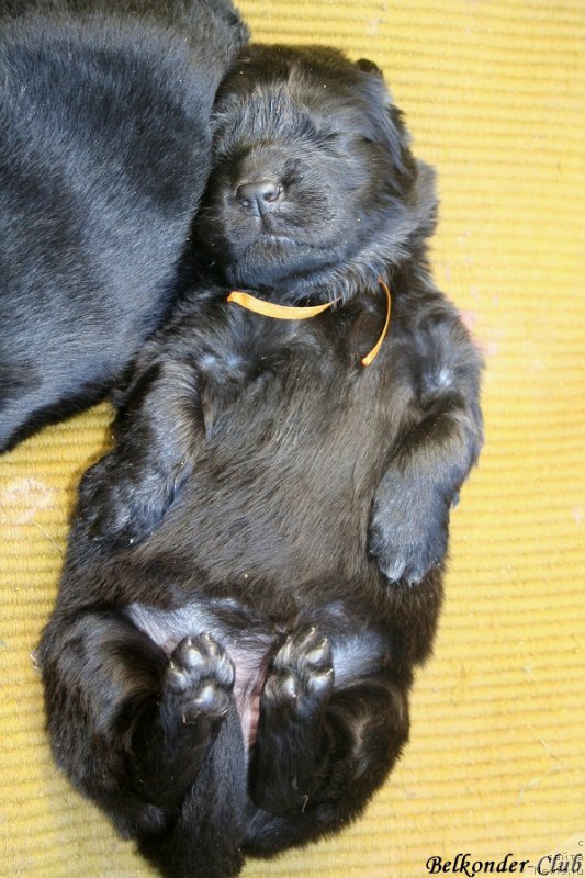 Фотография № 189922