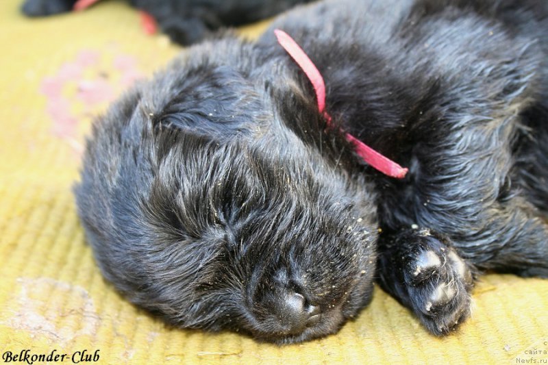 Фотография № 189928