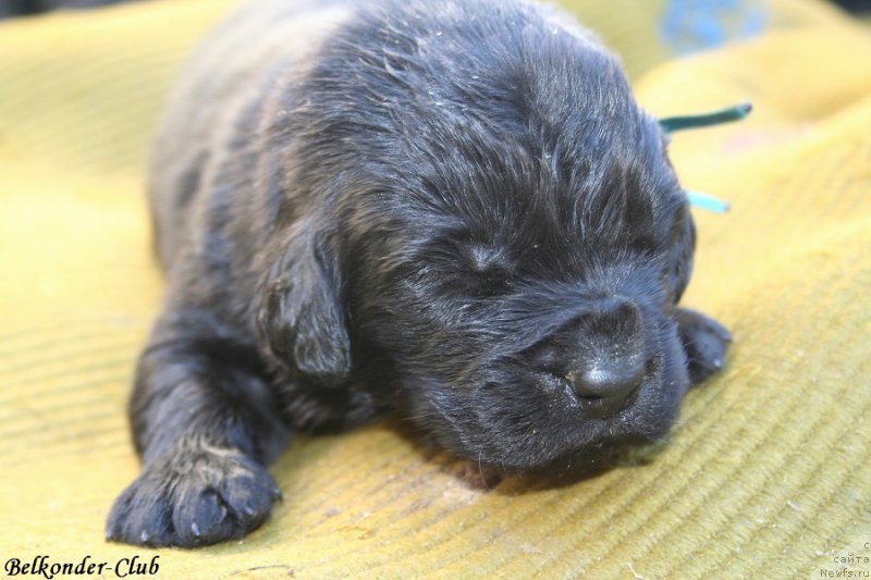 Фотография № 189931