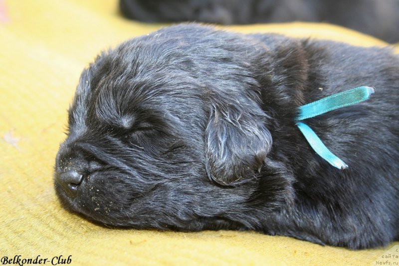 Фотография № 189932