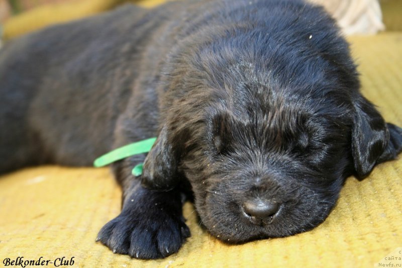 Фотография № 189939