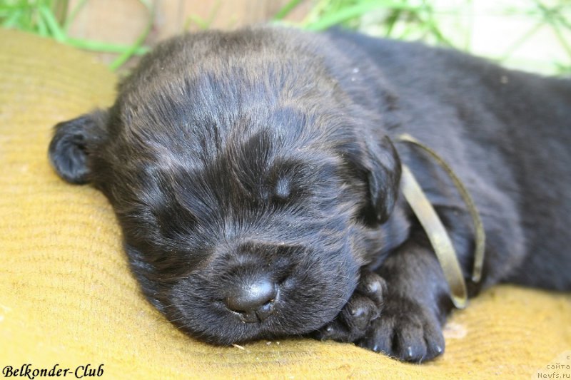 Фотография № 189940