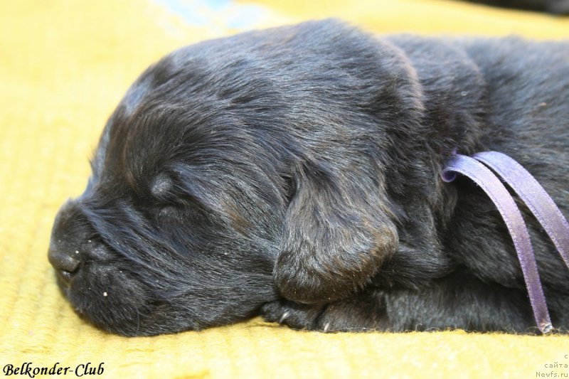 Фотография № 189942