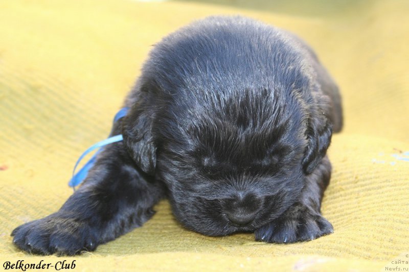 Фотография № 189949