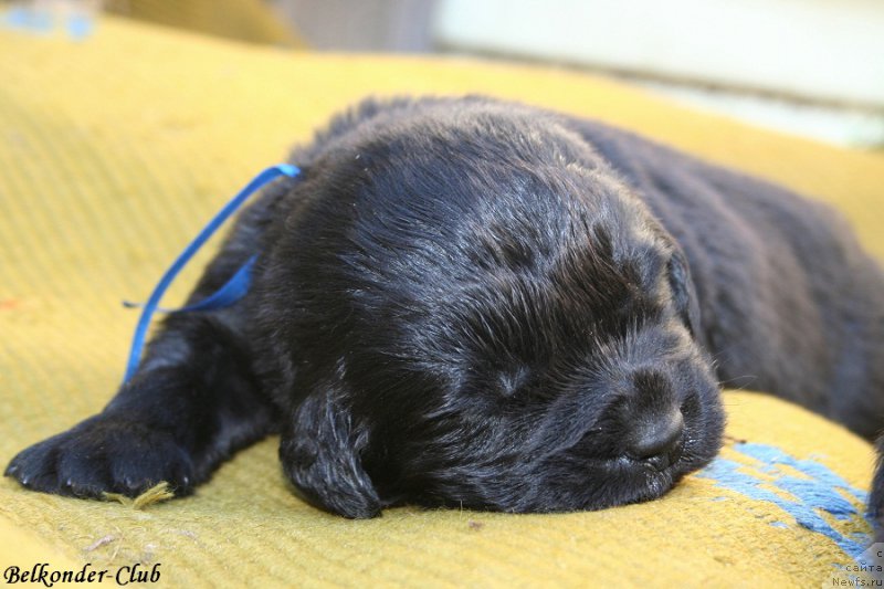 Фотография № 189952