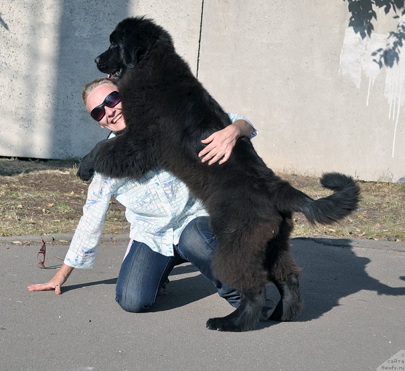 Фотография № 189961