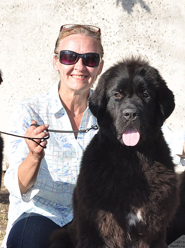 Фотография № 189963