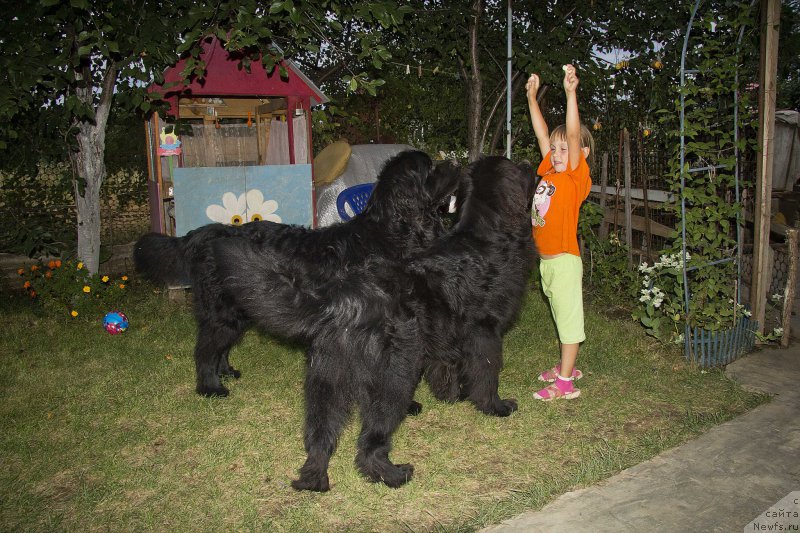 Фотография № 189984