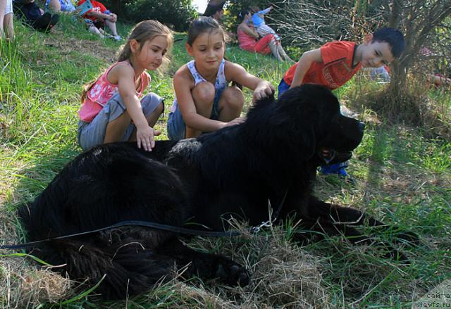 Фотография № 19004