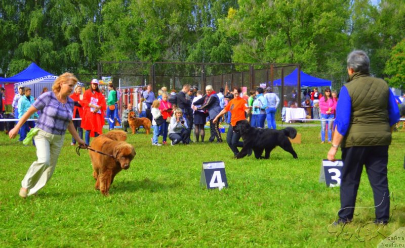 Фотография № 190065