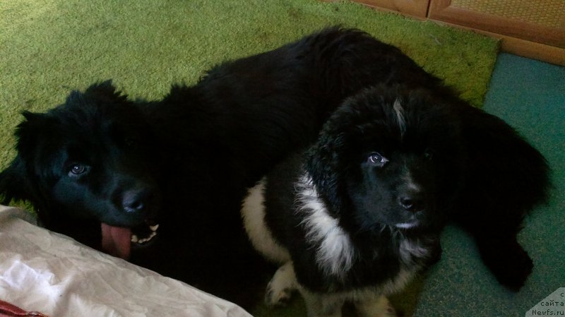 Фотография № 190078