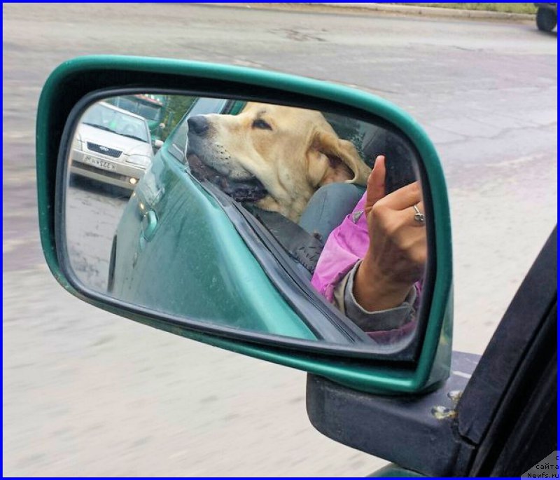 Фото: Лена Зырина, ФРАНКО