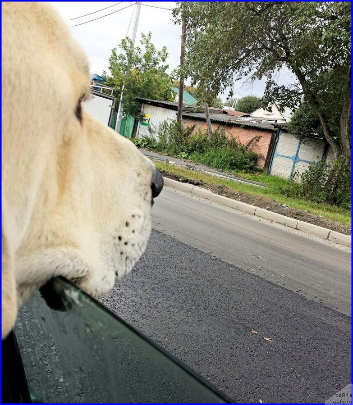 Фото: Лена Зырина, ФРАНКО