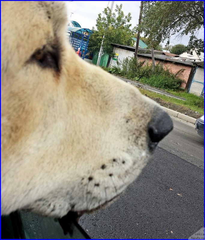 Фото: Лена Зырина, ФРАНКО