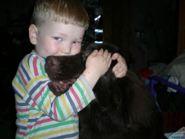 Фотография № 19010