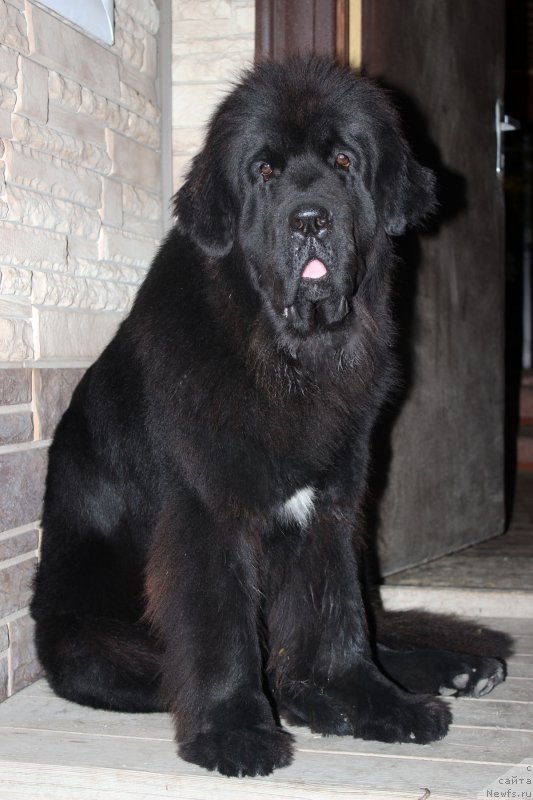 Фотография № 190104