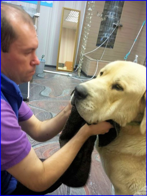 Фото: Лена Зырина, ФРАНКО, доктор САША