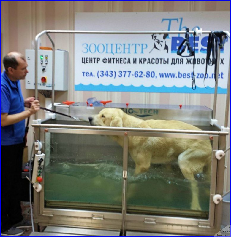 Фото: Лена Зырина, ФРАНКО, доктор САША