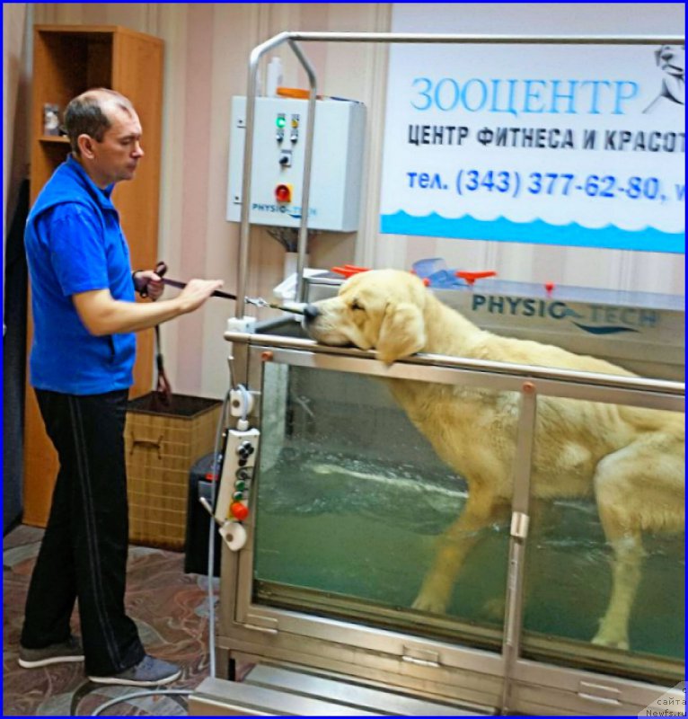 Фото: Лена Зырина, ФРАНКО, доктор САША