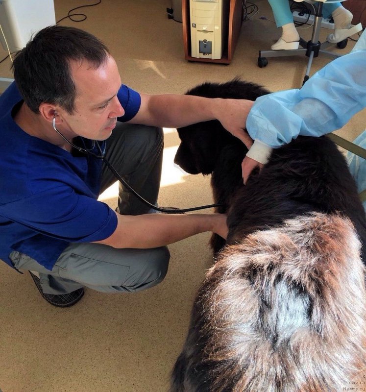 Фото: ХЕРЛИ