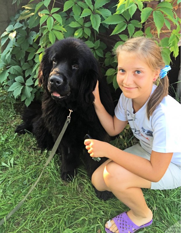 Фотография № 190127