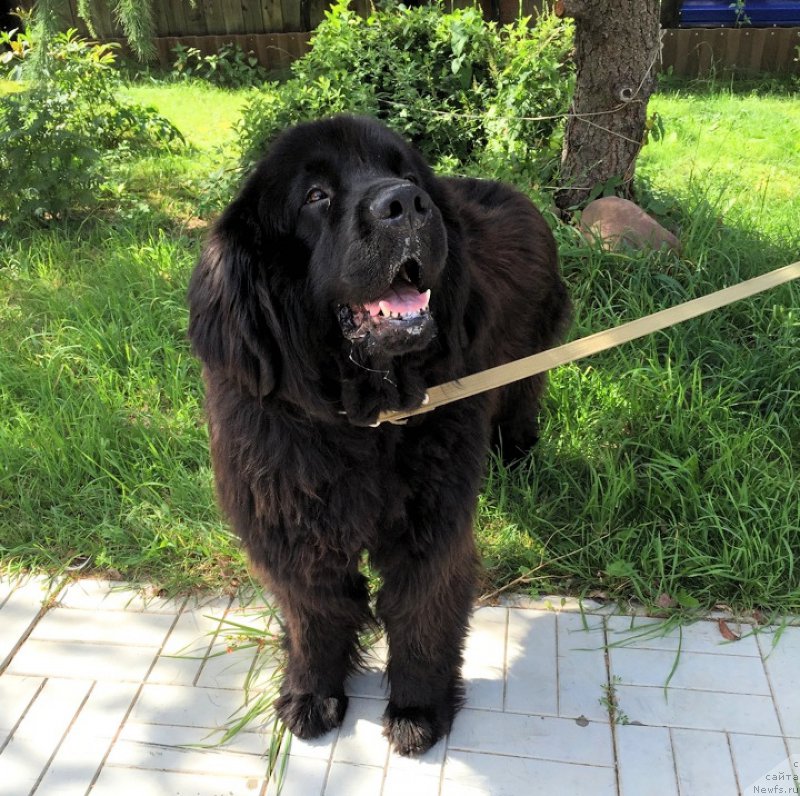 Фотография № 190128