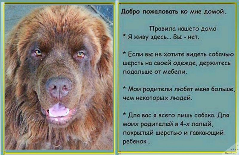 Фотография № 190163