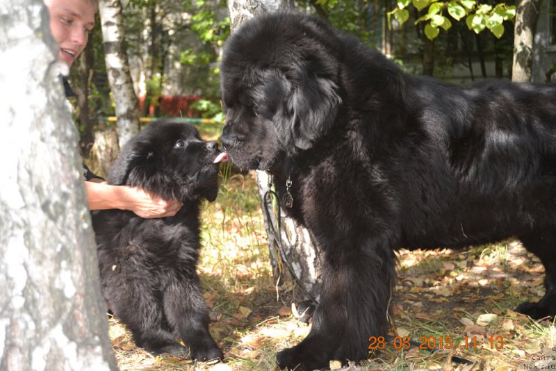 Фотография № 190185