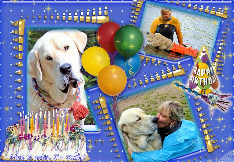 Фотография № 190199