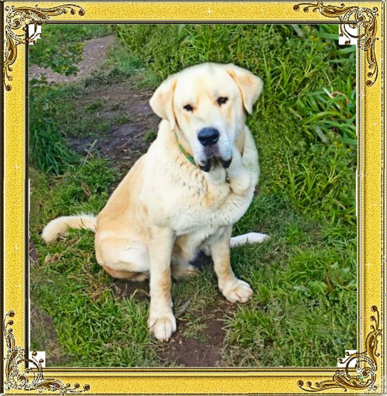 Фотография № 190206