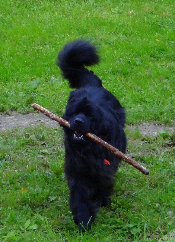 Фотография № 190229